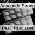 Anaconda Strong 10